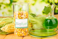 Dorset biofuel availability